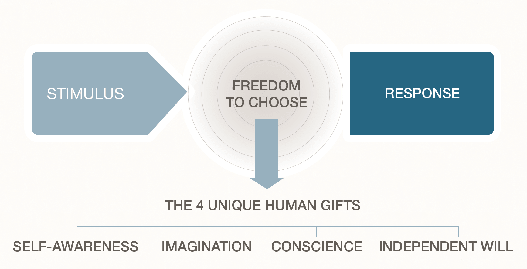 7 Habits (H1) Circle of Influence